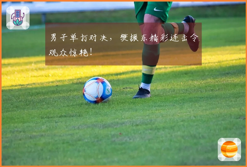 男子单打对决，樊振东精彩连击令观众惊艳！